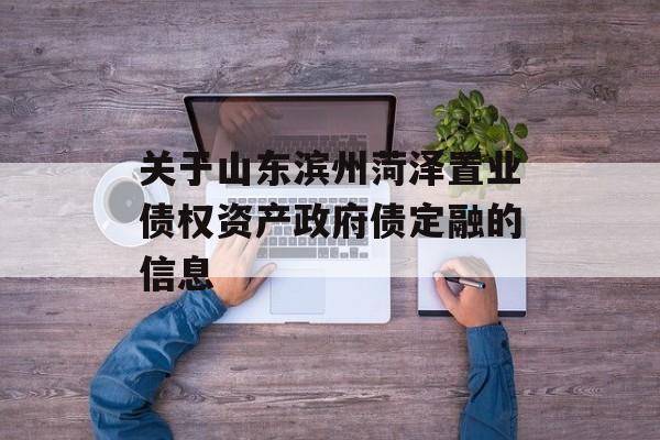 关于山东滨州菏泽置业债权资产政府债定融的信息