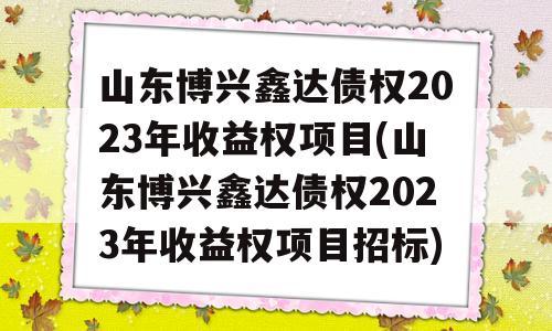 山东博兴鑫达债权2023年收益权项目(山东博兴鑫达债权2023年收益权项目招标)