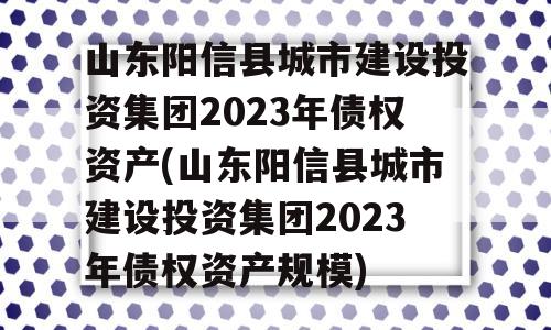 山东阳信县城市建设投资集团2023年债权资产(山东阳信县城市建设投资集团2023年债权资产规模)