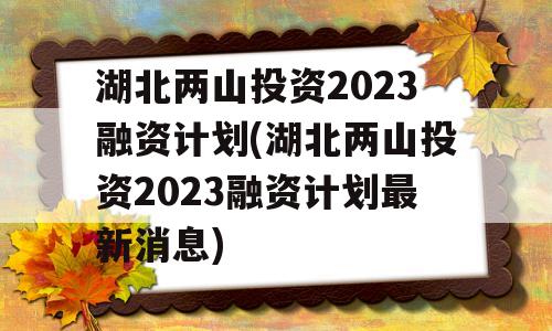 湖北两山投资2023融资计划(湖北两山投资2023融资计划最新消息)