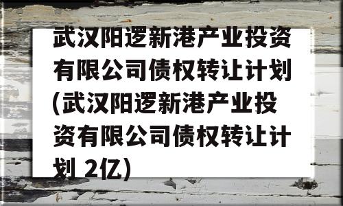 武汉阳逻新港产业投资有限公司债权转让计划(武汉阳逻新港产业投资有限公司债权转让计划 2亿)