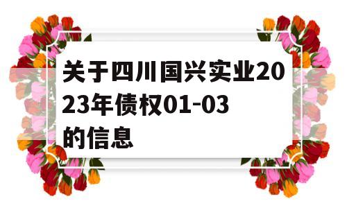 关于四川国兴实业2023年债权01-03的信息