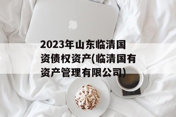 2023年山东临清国资债权资产(临清国有资产管理有限公司)