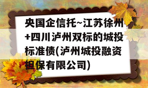 央国企信托～江苏徐州+四川泸州双标的城投标准债(泸州城投融资担保有限公司)