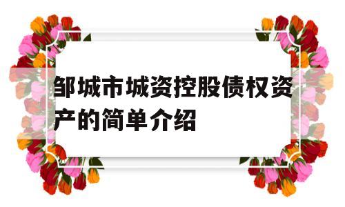 邹城市城资控股债权资产的简单介绍