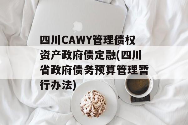 四川CAWY管理债权资产政府债定融(四川省政府债务预算管理暂行办法)