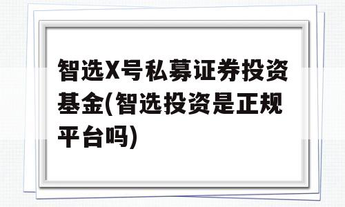 智选X号私募证券投资基金(智选投资是正规平台吗)