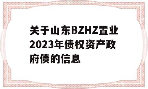 关于山东BZHZ置业2023年债权资产政府债的信息