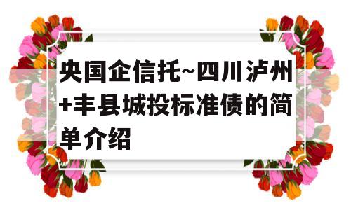 央国企信托～四川泸州+丰县城投标准债的简单介绍