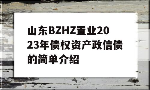 山东BZHZ置业2023年债权资产政信债的简单介绍