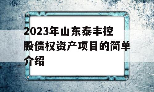 2023年山东泰丰控股债权资产项目的简单介绍