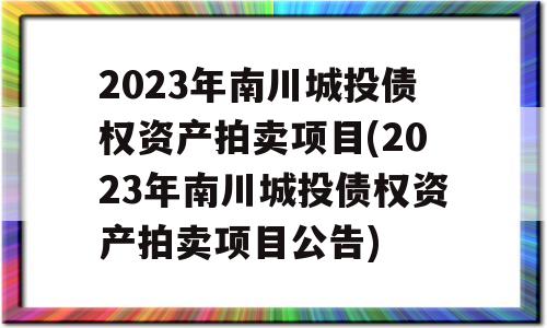 2023年南川城投债权资产拍卖项目(2023年南川城投债权资产拍卖项目公告)