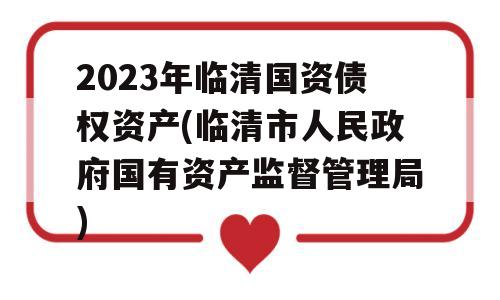 2023年临清国资债权资产(临清市人民政府国有资产监督管理局)