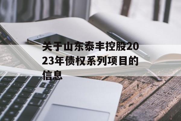 关于山东泰丰控股2023年债权系列项目的信息