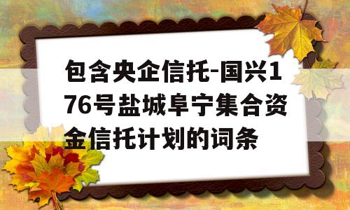 包含央企信托-国兴176号盐城阜宁集合资金信托计划的词条