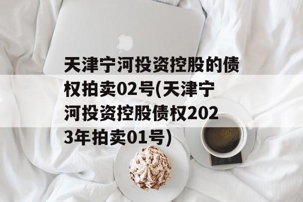 天津宁河投资控股的债权拍卖02号(天津宁河投资控股债权2023年拍卖01号)