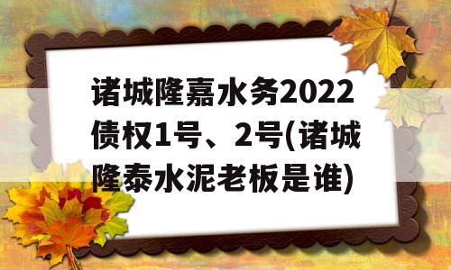 诸城隆嘉水务2022债权1号、2号(诸城隆泰水泥老板是谁)