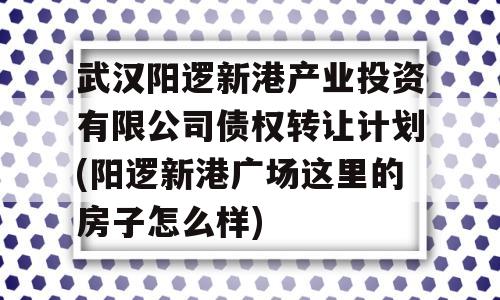 武汉阳逻新港产业投资有限公司债权转让计划(阳逻新港广场这里的房子怎么样)