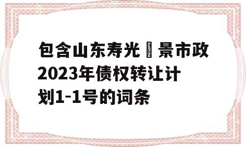 包含山东寿光昇景市政2023年债权转让计划1-1号的词条