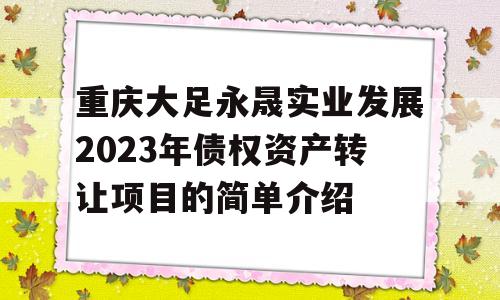 重庆大足永晟实业发展2023年债权资产转让项目的简单介绍