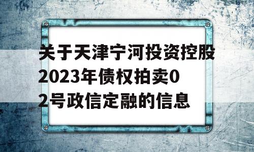 关于天津宁河投资控股2023年债权拍卖02号政信定融的信息