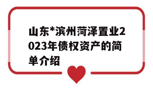 山东*滨州菏泽置业2023年债权资产的简单介绍