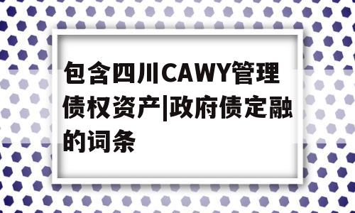 包含四川CAWY管理债权资产|政府债定融的词条