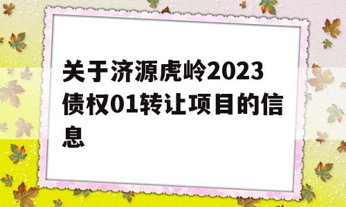 关于济源虎岭2023债权01转让项目的信息