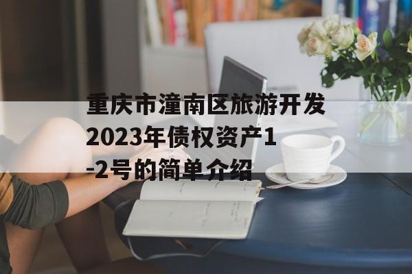 重庆市潼南区旅游开发2023年债权资产1-2号的简单介绍