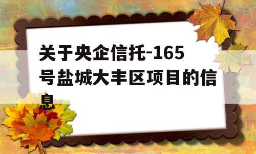 关于央企信托-165号盐城大丰区项目的信息