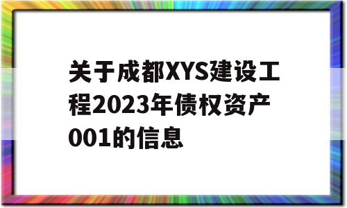 关于成都XYS建设工程2023年债权资产001的信息