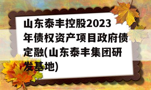 山东泰丰控股2023年债权资产项目政府债定融(山东泰丰集团研发基地)