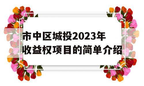 市中区城投2023年收益权项目的简单介绍