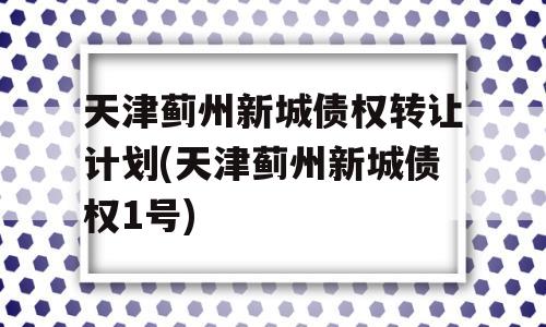 天津蓟州新城债权转让计划(天津蓟州新城债权1号)