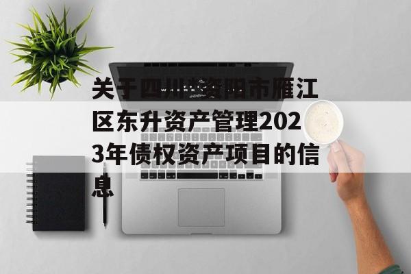 关于四川*资阳市雁江区东升资产管理2023年债权资产项目的信息