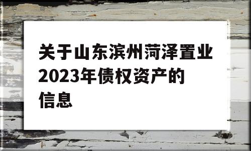 关于山东滨州菏泽置业2023年债权资产的信息