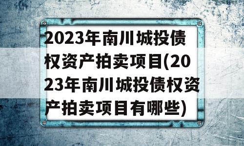 2023年南川城投债权资产拍卖项目(2023年南川城投债权资产拍卖项目有哪些)