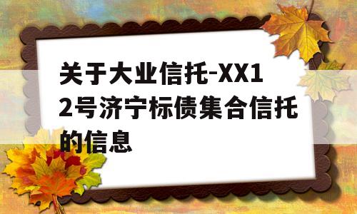 关于大业信托-XX12号济宁标债集合信托的信息