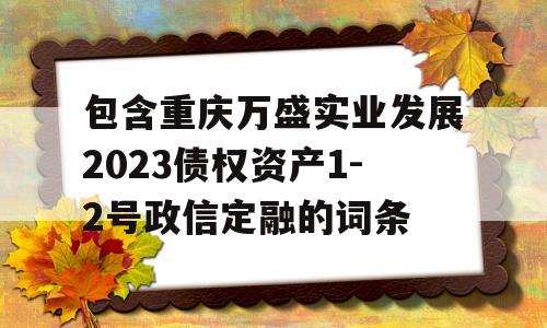 包含重庆万盛实业发展2023债权资产1-2号政信定融的词条