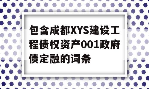 包含成都XYS建设工程债权资产001政府债定融的词条