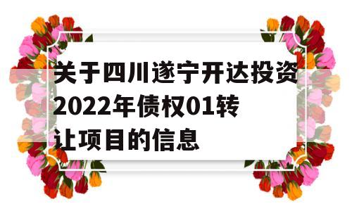 关于四川遂宁开达投资2022年债权01转让项目的信息