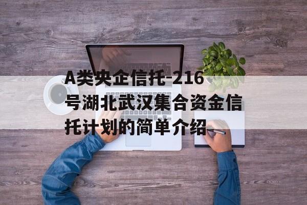 A类央企信托-216号湖北武汉集合资金信托计划的简单介绍