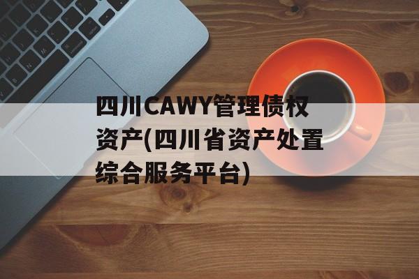 四川CAWY管理债权资产(四川省资产处置综合服务平台)