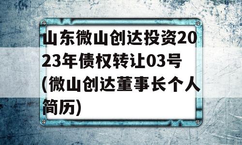 山东微山创达投资2023年债权转让03号(微山创达董事长个人简历)