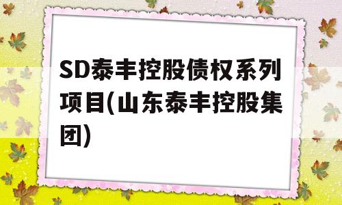 SD泰丰控股债权系列项目(山东泰丰控股集团)