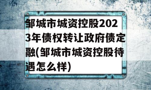 邹城市城资控股2023年债权转让政府债定融(邹城市城资控股待遇怎么样)