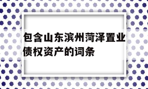 包含山东滨州菏泽置业债权资产的词条