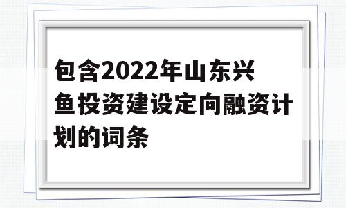 包含2022年山东兴鱼投资建设定向融资计划的词条