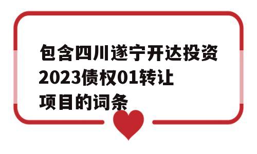 包含四川遂宁开达投资2023债权01转让项目的词条