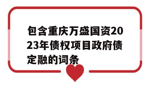 包含重庆万盛国资2023年债权项目政府债定融的词条